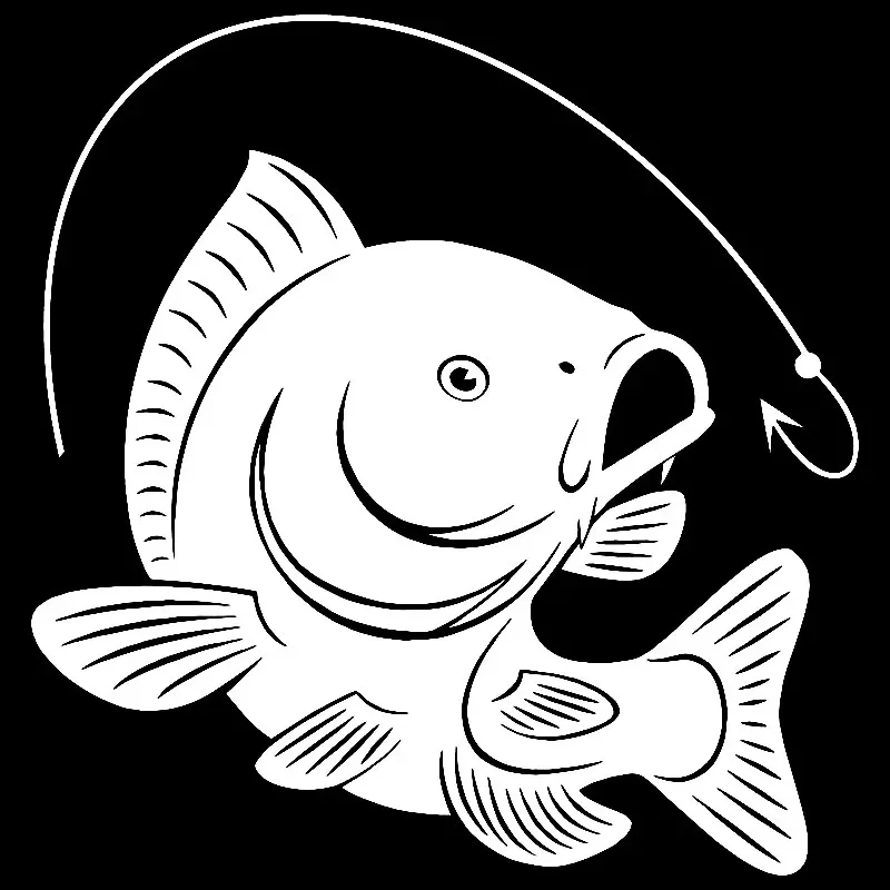 Carpa Pesca Gancho Decalque De - Fishing Hook avaliação e preço